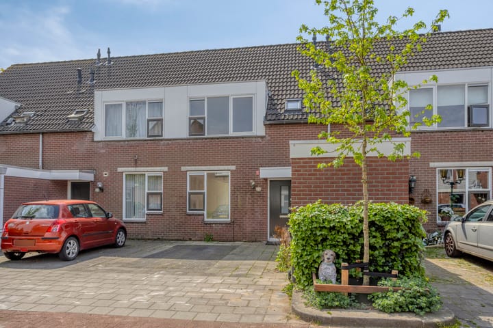 Foto 5 van Speenkruid 24