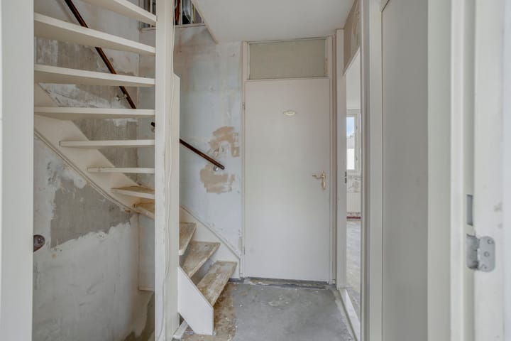 Foto 11 van Speenkruid 24