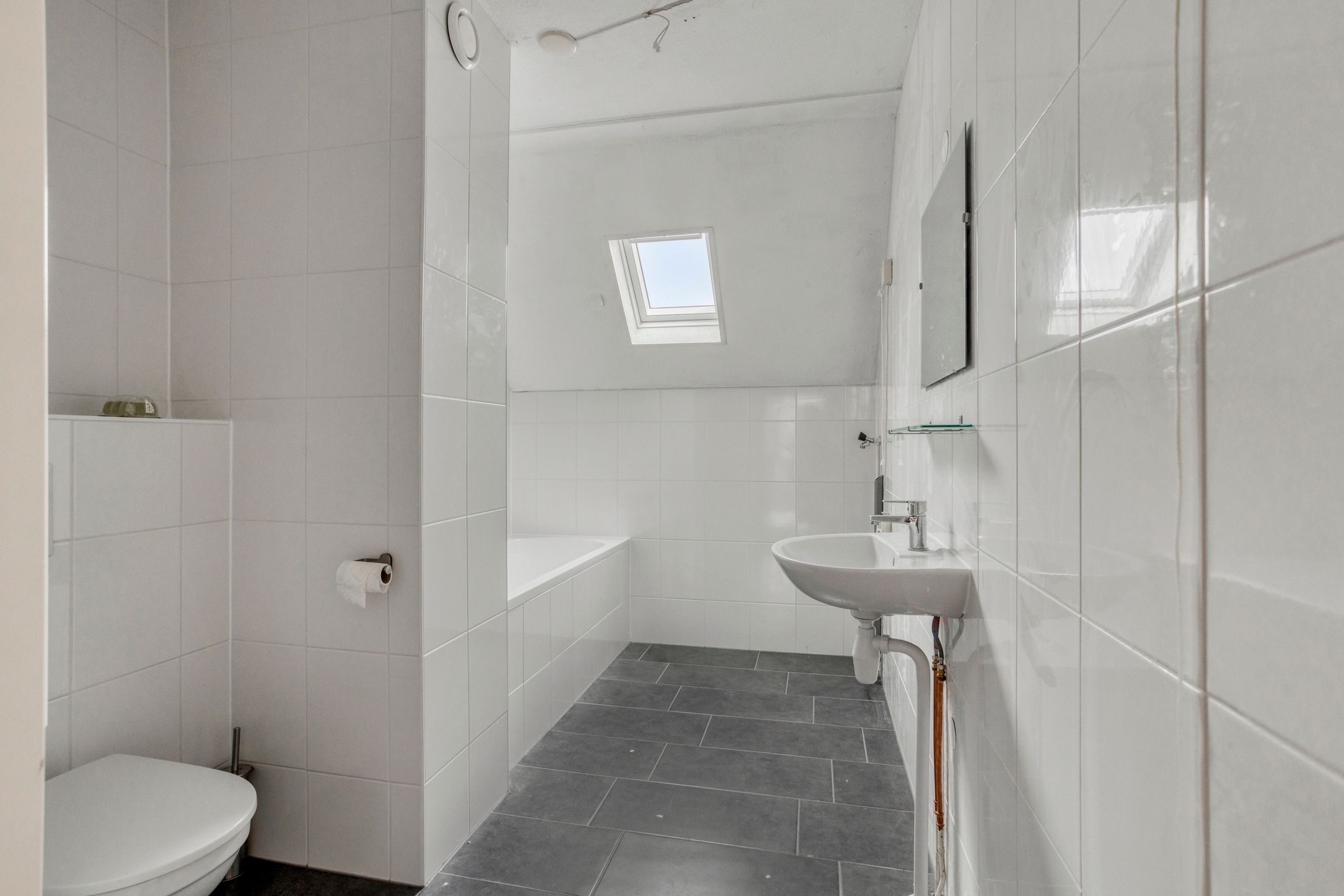 Foto 12 van Speenkruid 24