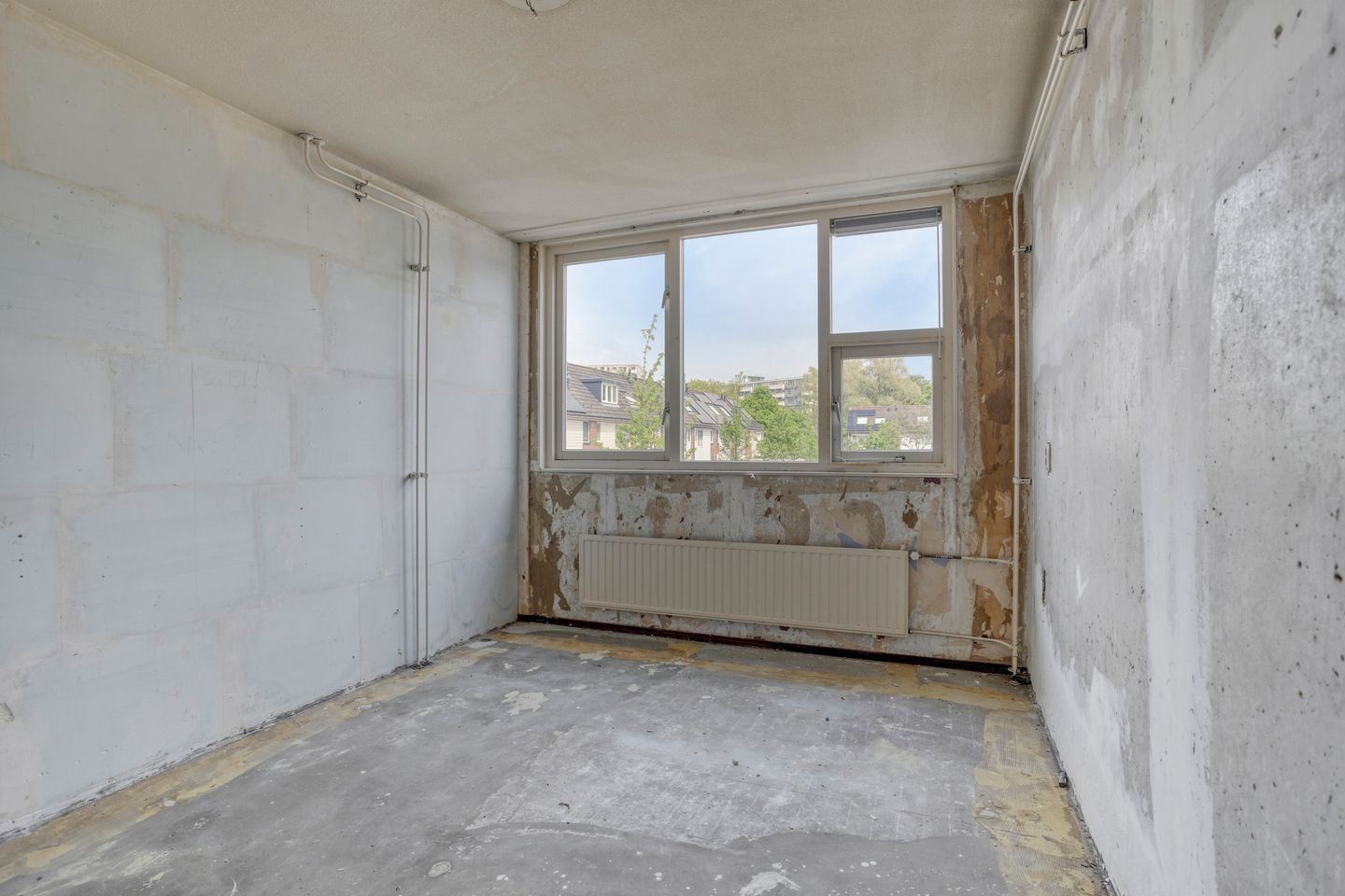 Foto 19 van Speenkruid 24