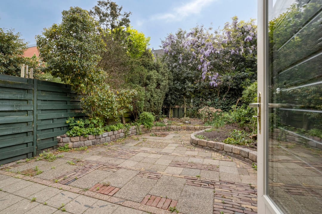 Foto 23 van Speenkruid 24