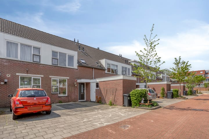 Foto 24 van Speenkruid 24