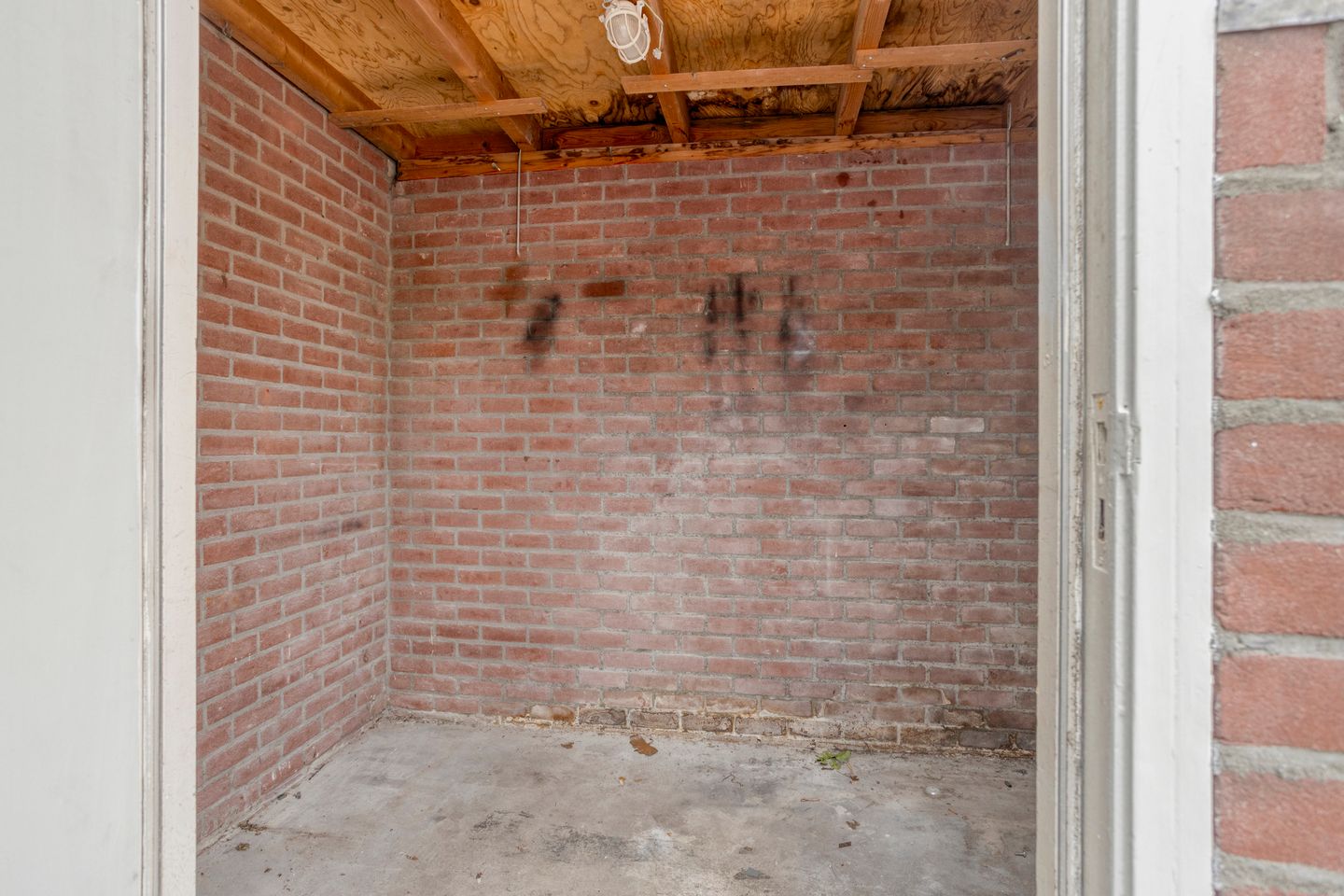 Foto 25 van Speenkruid 24