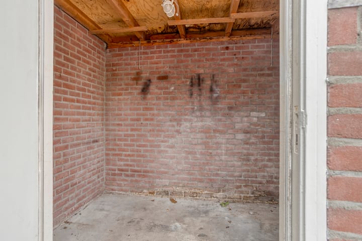 Foto 25 van Speenkruid 24