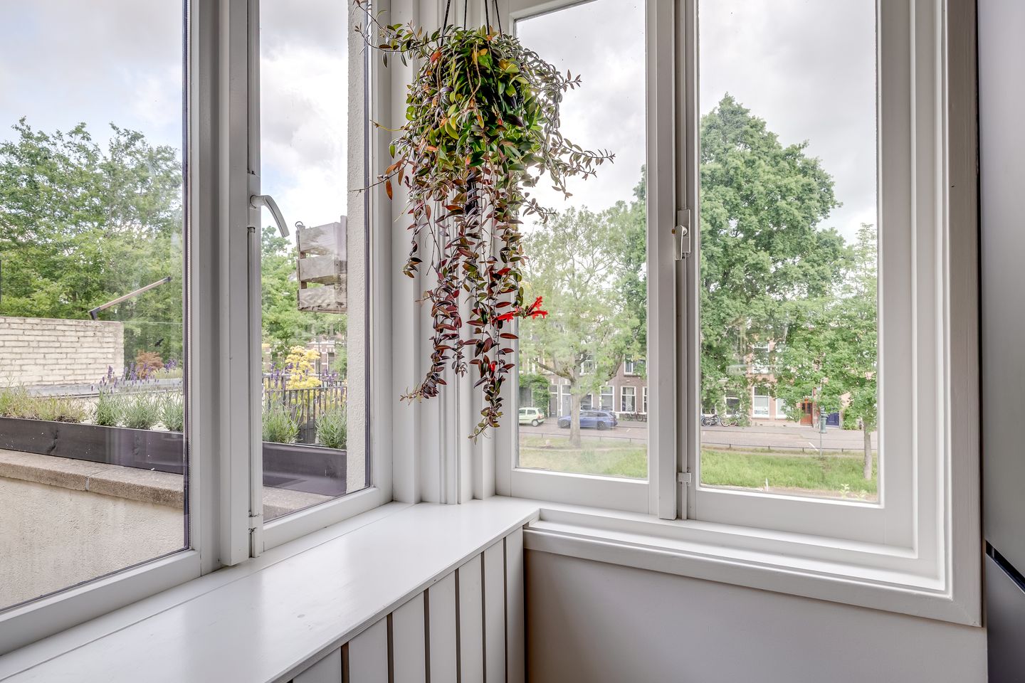 Foto 19 van Wolvenstraat 58