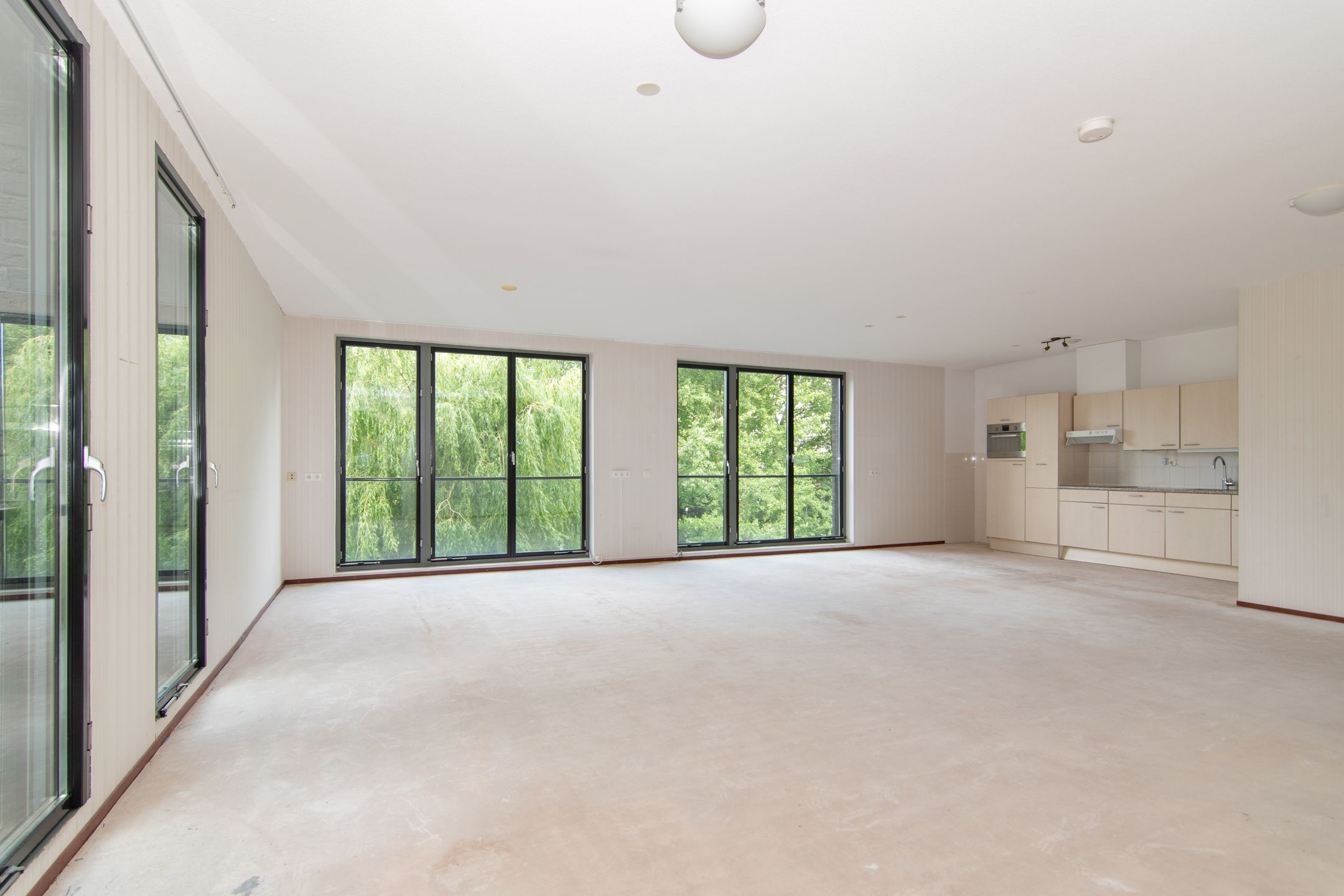 Foto 3 van Bijdorplaan 179