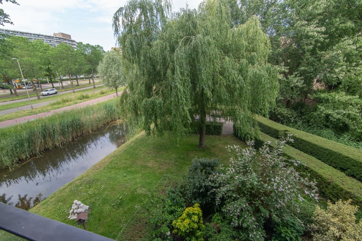 Foto 6 van Bijdorplaan 179