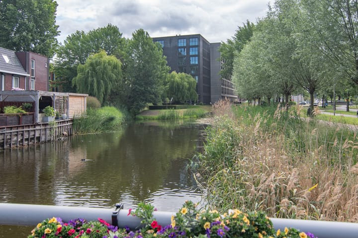 Foto 18 van Bijdorplaan 179