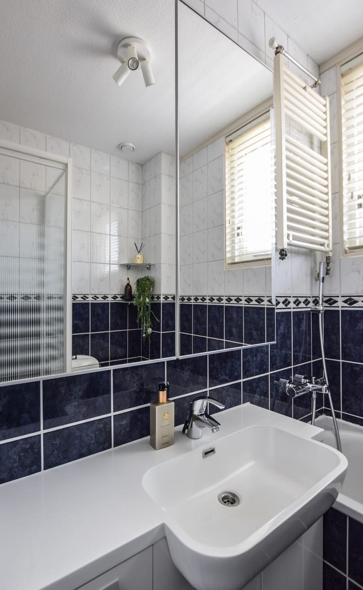 Foto 28 van Meester van Boemellaan 6