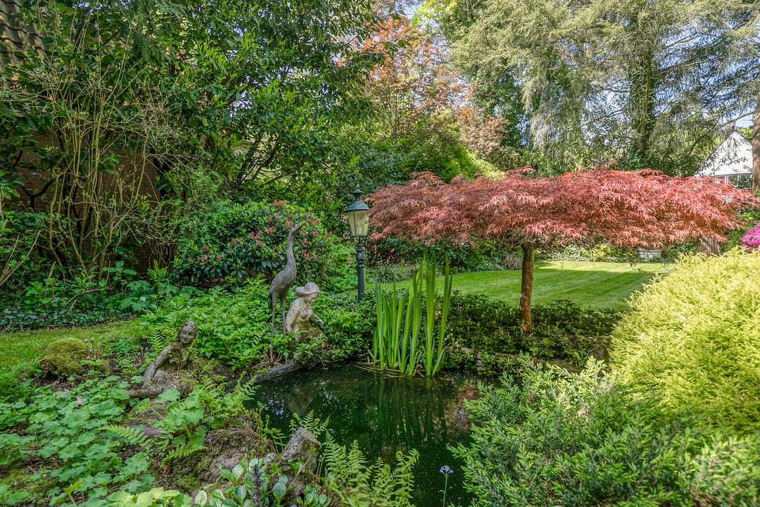 Foto 31 van Platolaan 17