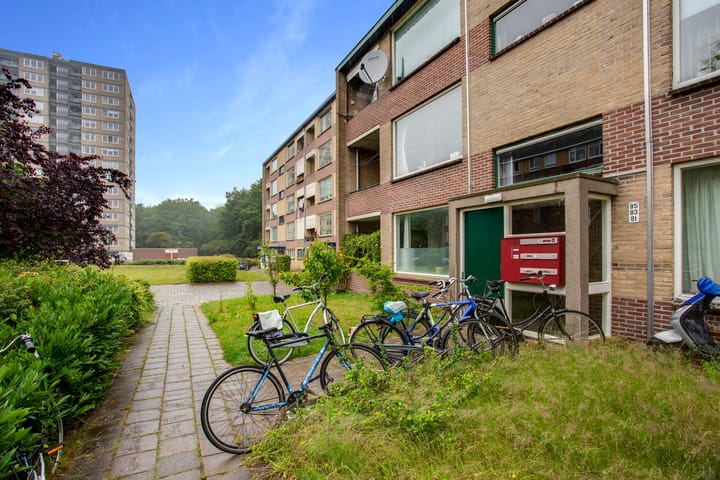 Foto 8 van Niersstraat 89