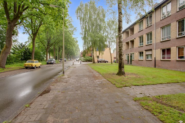 Foto 31 van Niersstraat 89