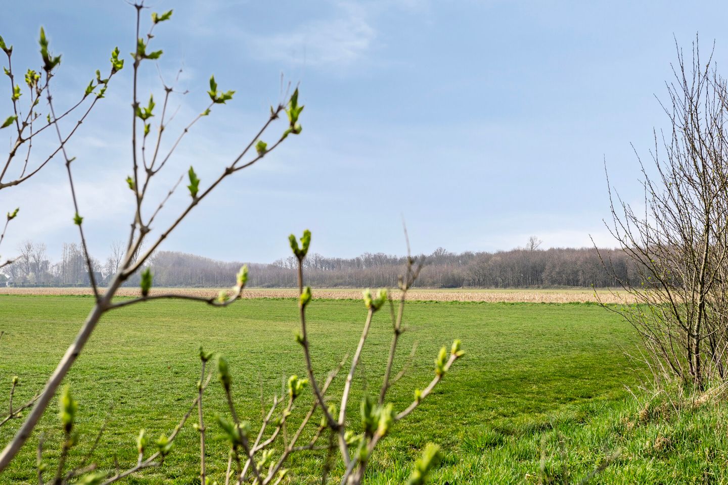 Photo 29 of Romerswaalestraat 13