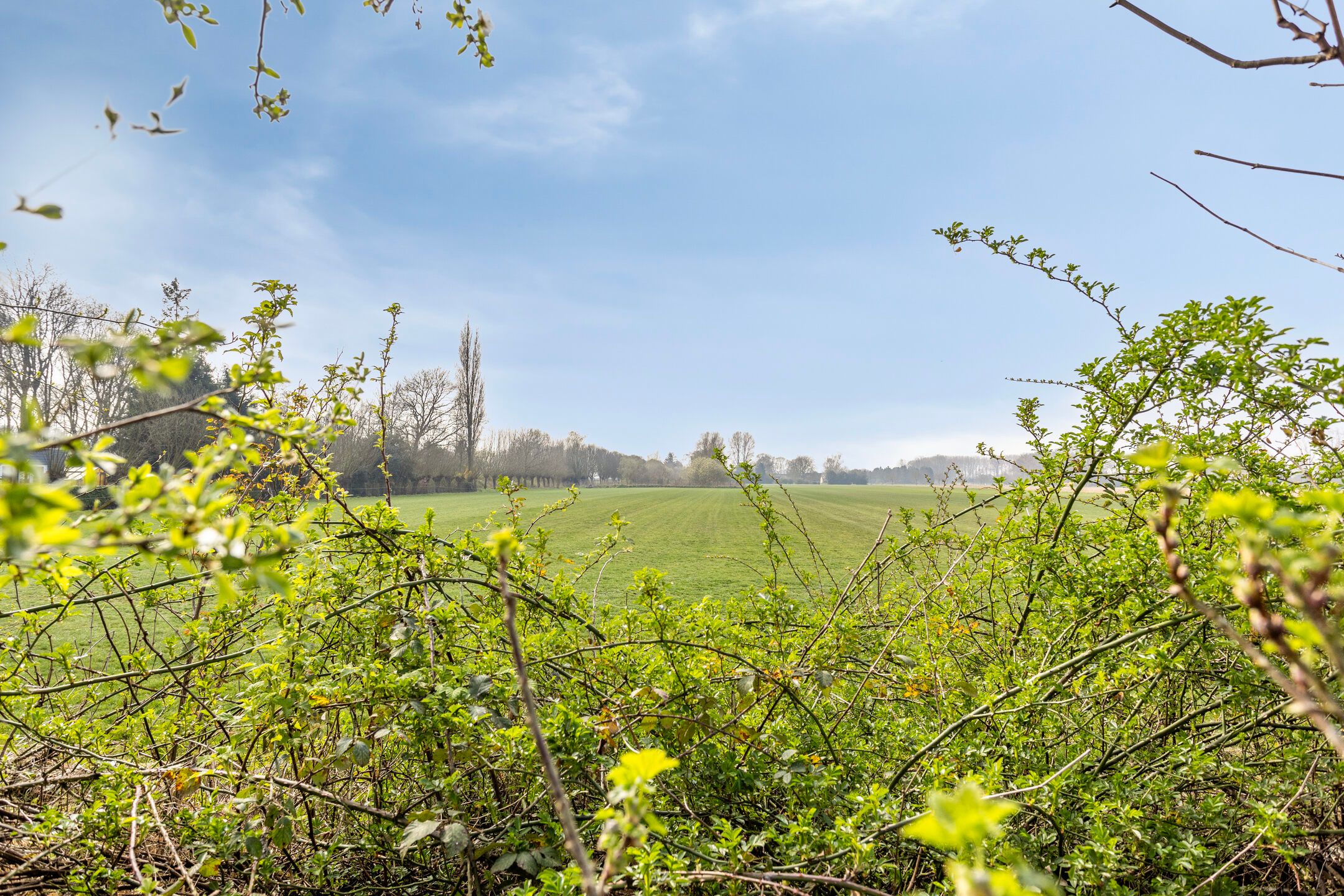 Photo 3 of Romerswaalestraat 13