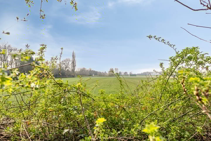 Foto 3 van Romerswaalestraat 13