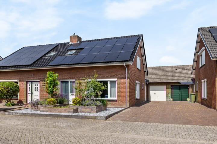 undefined main image