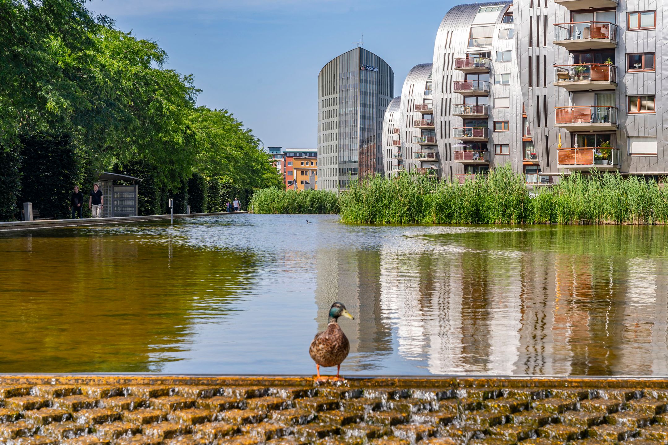 Foto 66 van Hofplein 94