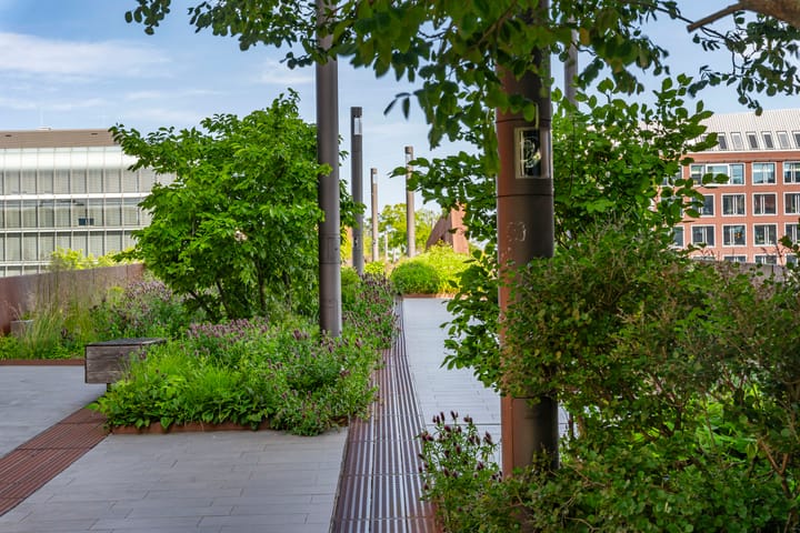 Foto 69 van Hofplein 94