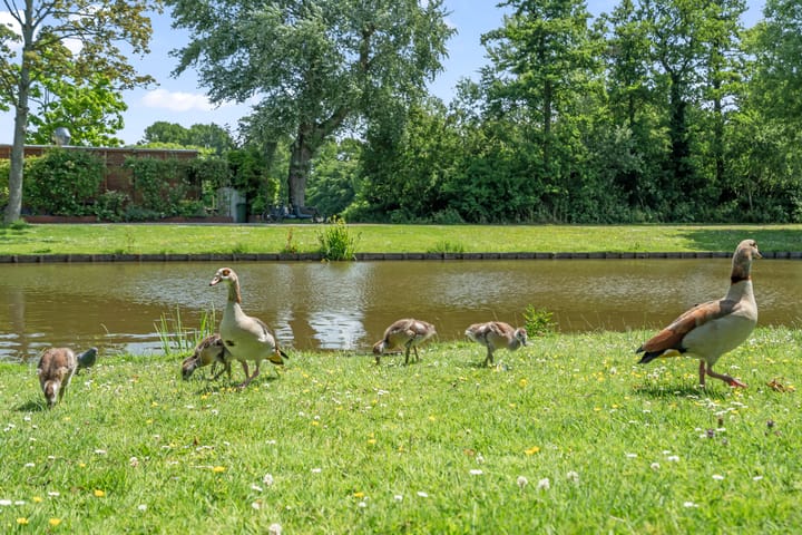 Foto 7 van Van Nideckstraat 30-A01