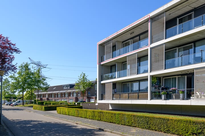 Foto 3 van de Lingert 6499-A