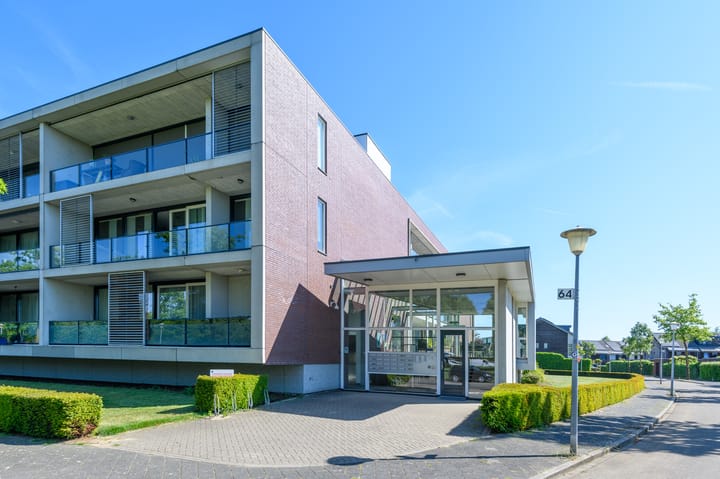 Foto 4 van de Lingert 6499-A