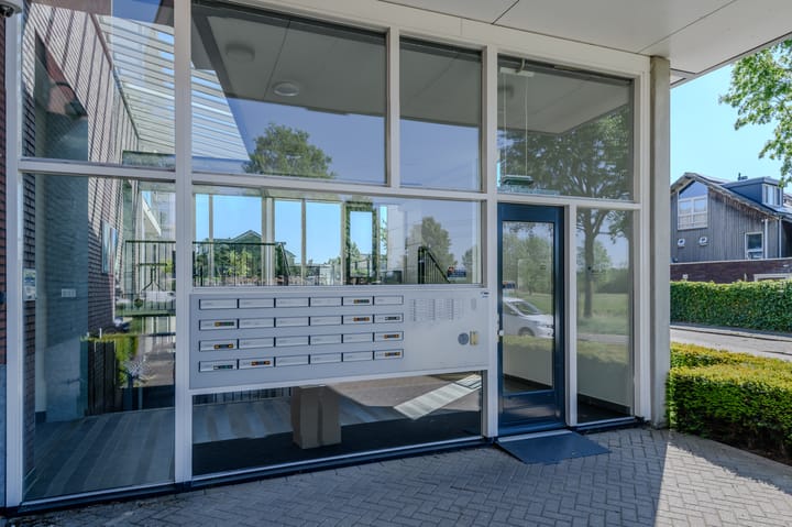 Foto 5 van de Lingert 6499-A