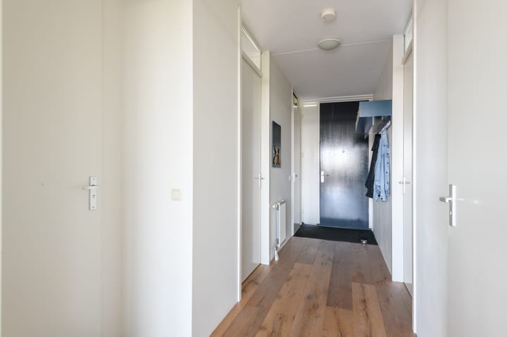 Foto 24 van de Lingert 6499-A