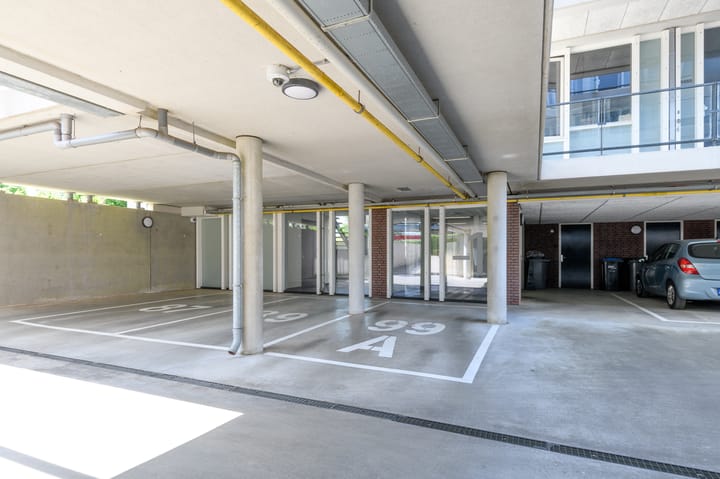 Foto 35 van de Lingert 6499-A