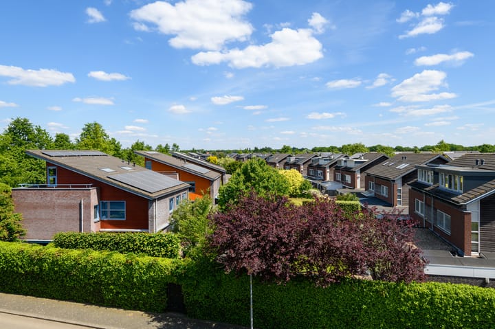 Foto 39 van de Lingert 6499-A