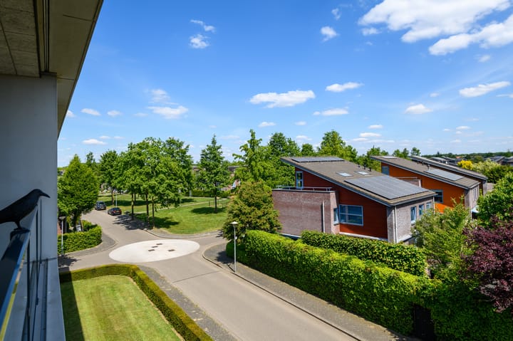 Foto 40 van de Lingert 6499-A