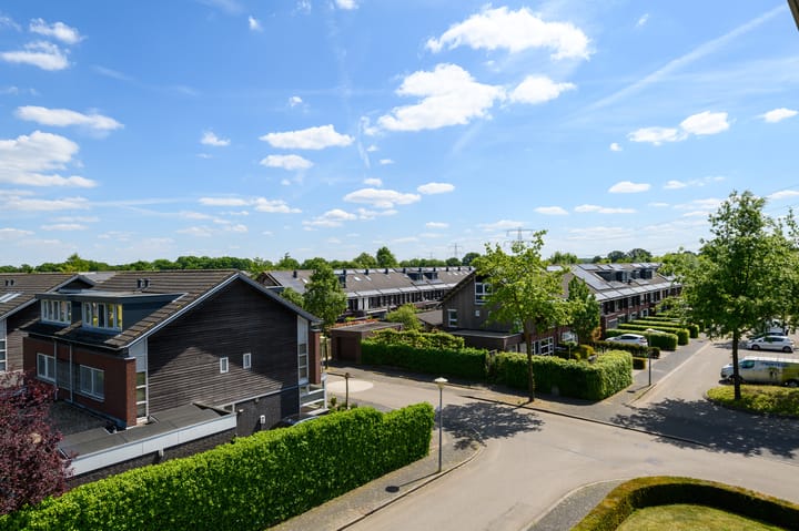 Foto 41 van de Lingert 6499-A