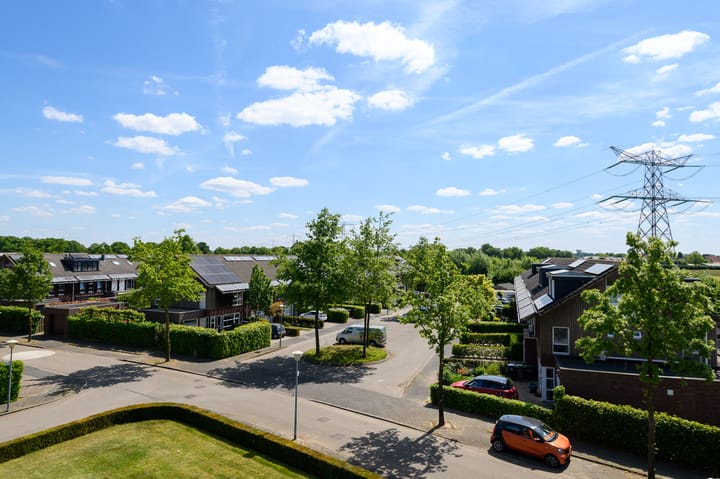 Foto 43 van de Lingert 6499-A