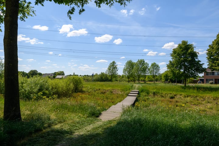 Foto 45 van de Lingert 6499-A