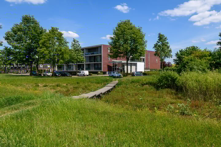 Foto 46 van de Lingert 6499-A