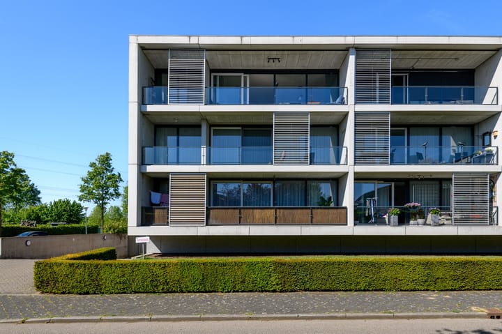 Foto 50 van de Lingert 6499-A