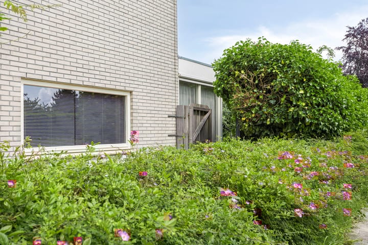 Foto 9 van Pieter van Damstraat 58