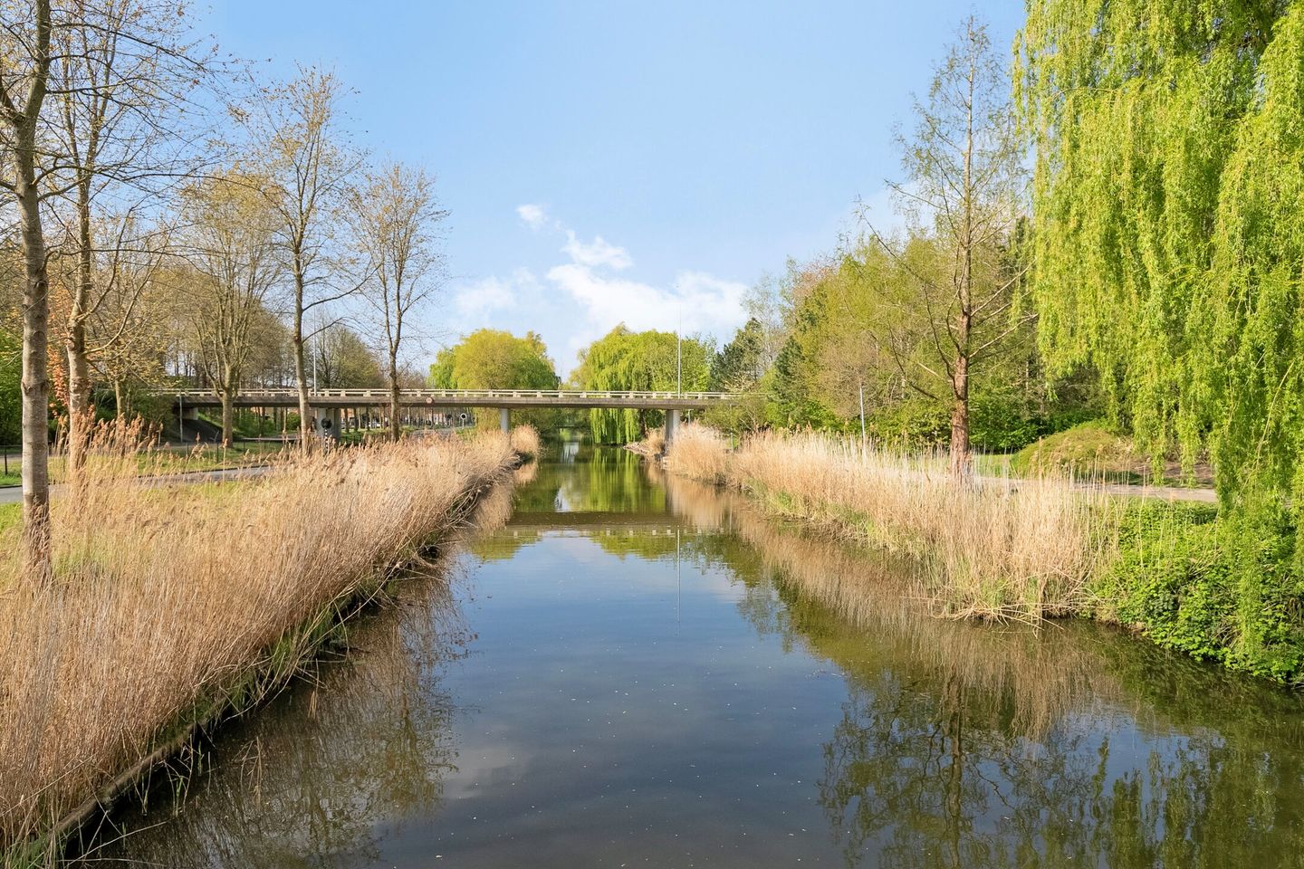 Foto 4 van Pieter van Damstraat 58