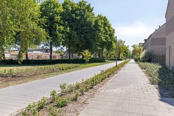 Foto 31 van Bizetstraat 1