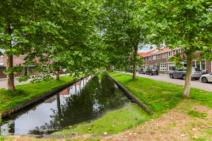 Foto 51 van van der Palmstraat 20