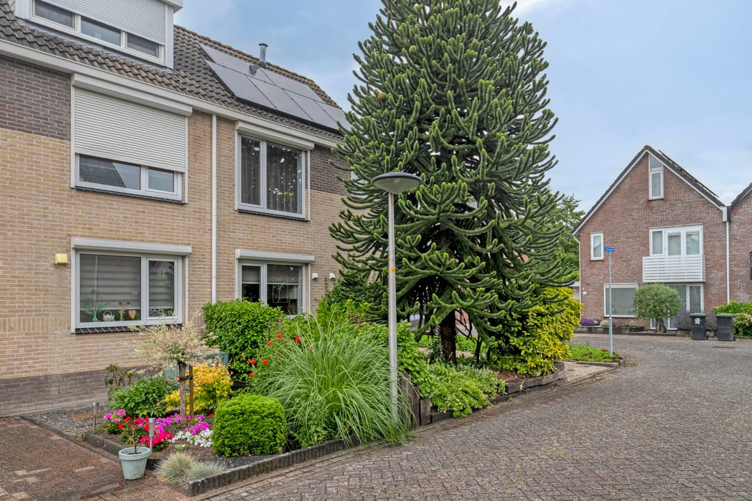 Foto 7 van De Cavaletti 11