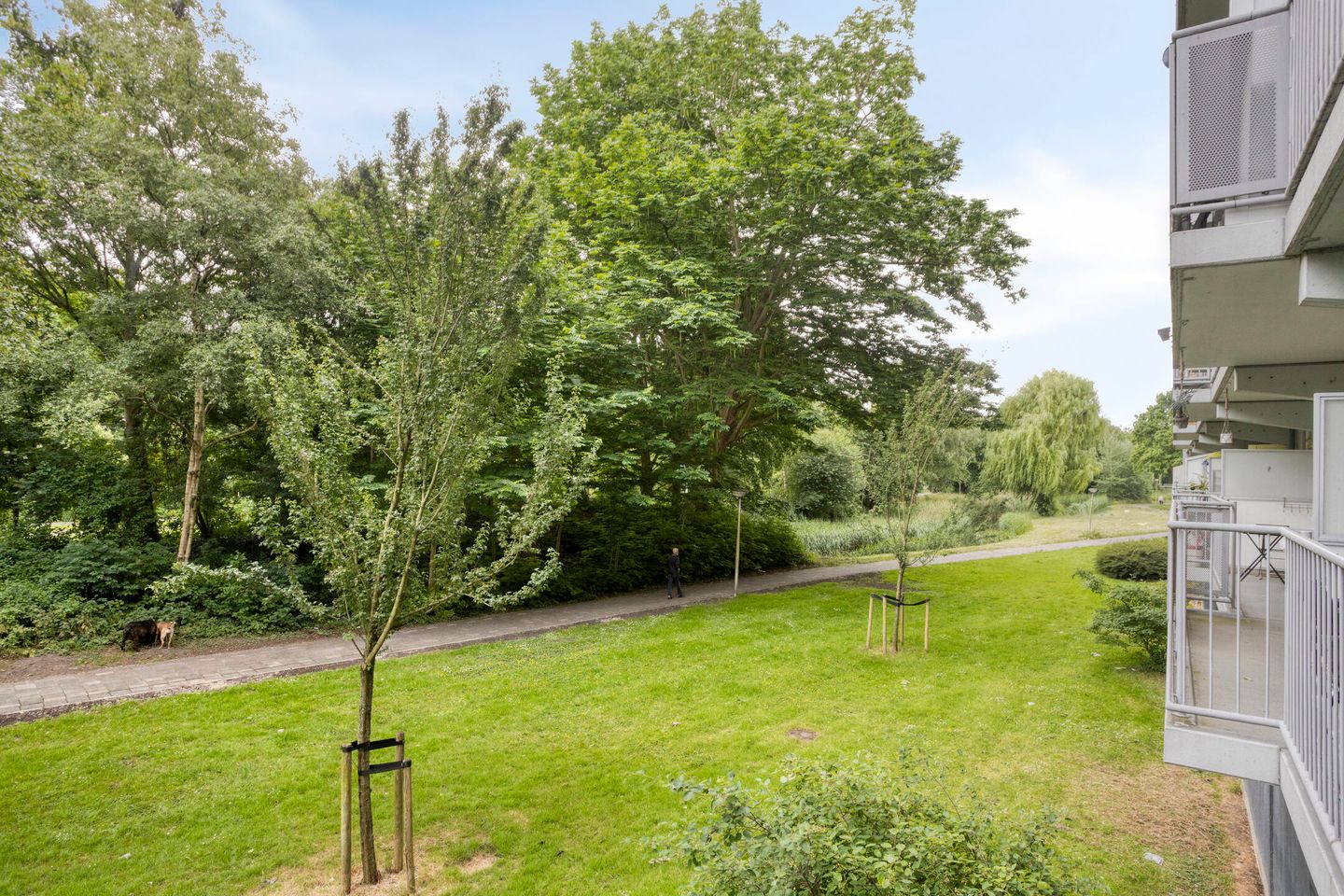 Foto 20 van Vliestroom 9