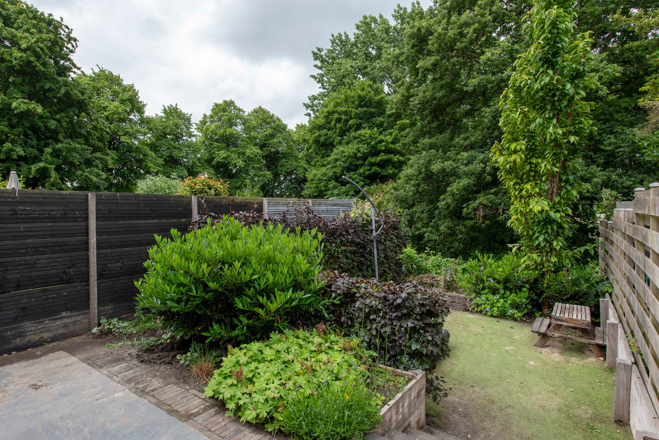 Foto 45 van Schepenen 97