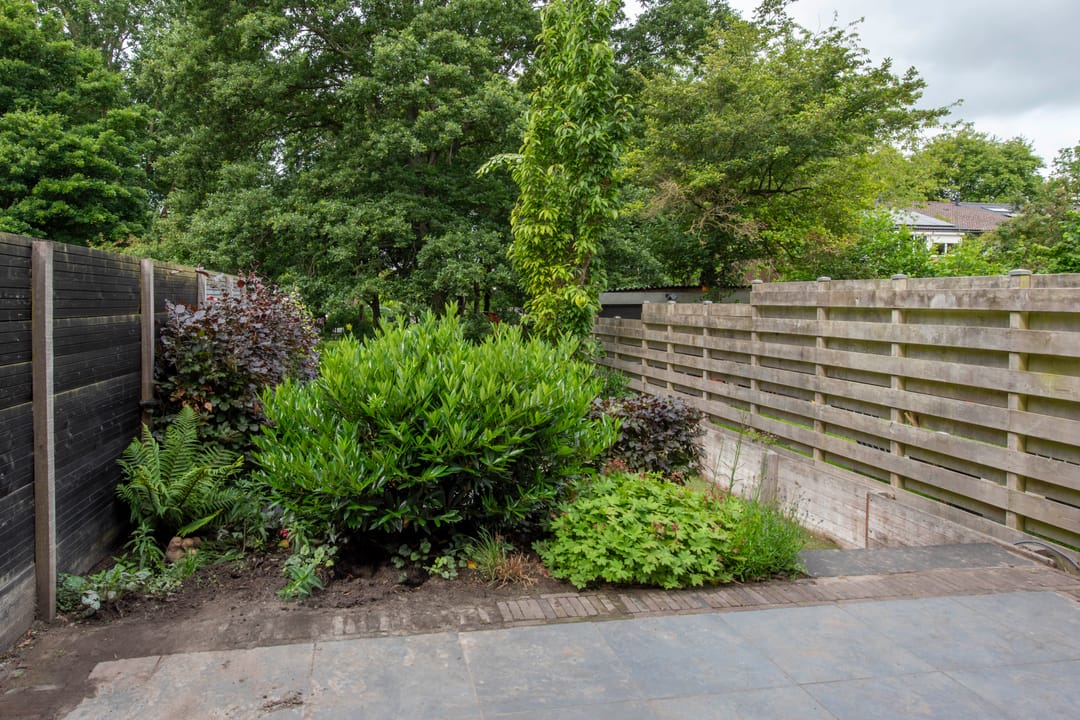 Foto 47 van Schepenen 97