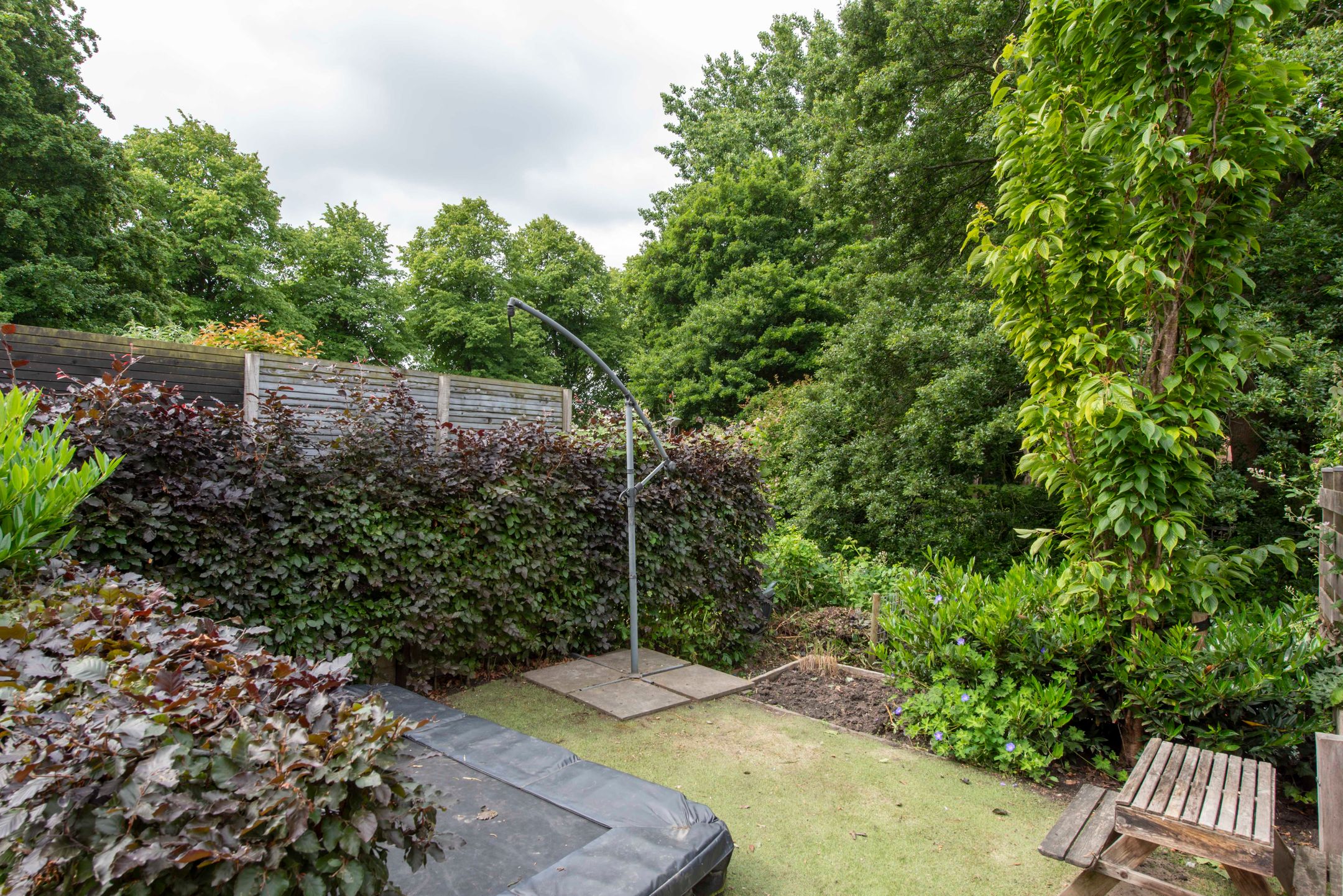 Foto 51 van Schepenen 97