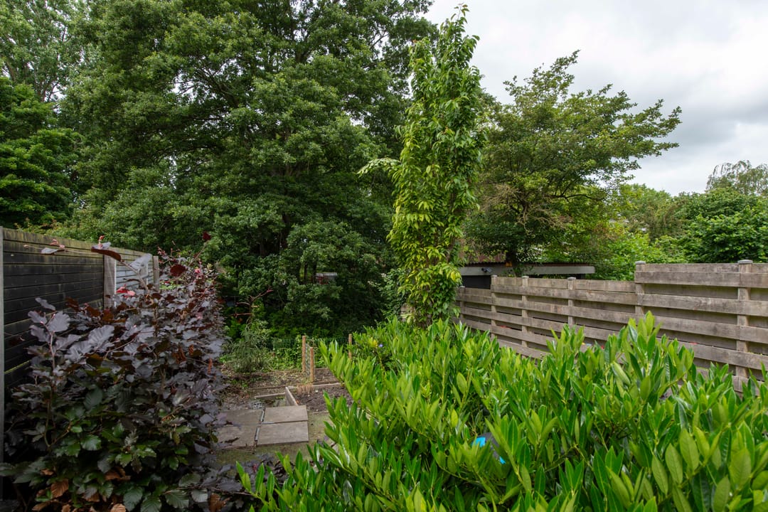 Foto 52 van Schepenen 97