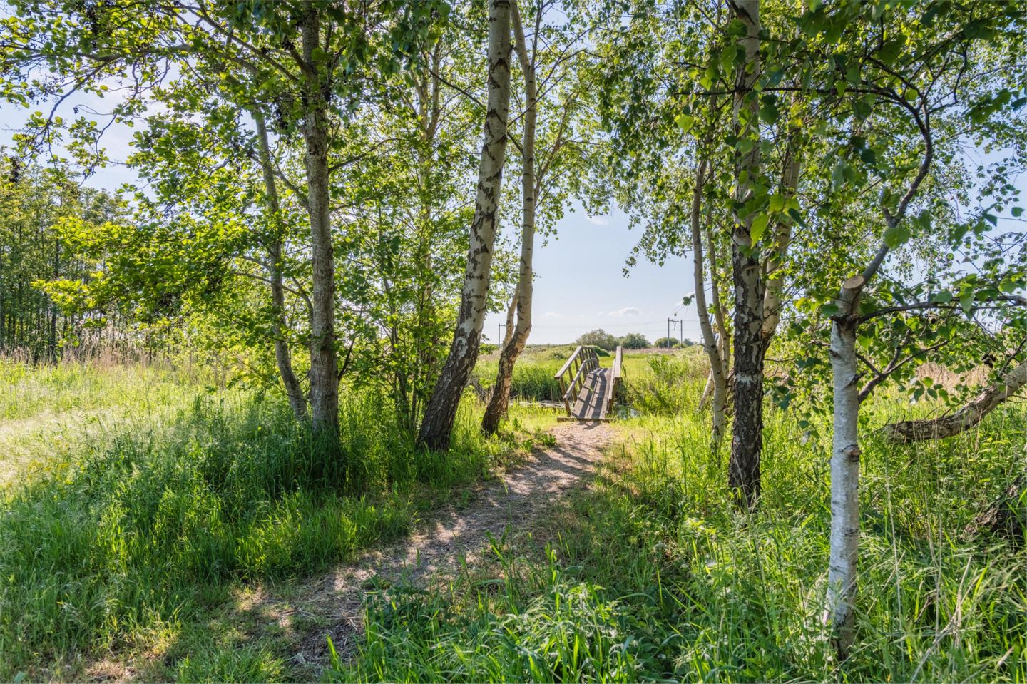 Foto 50 van Zambezilaan 247