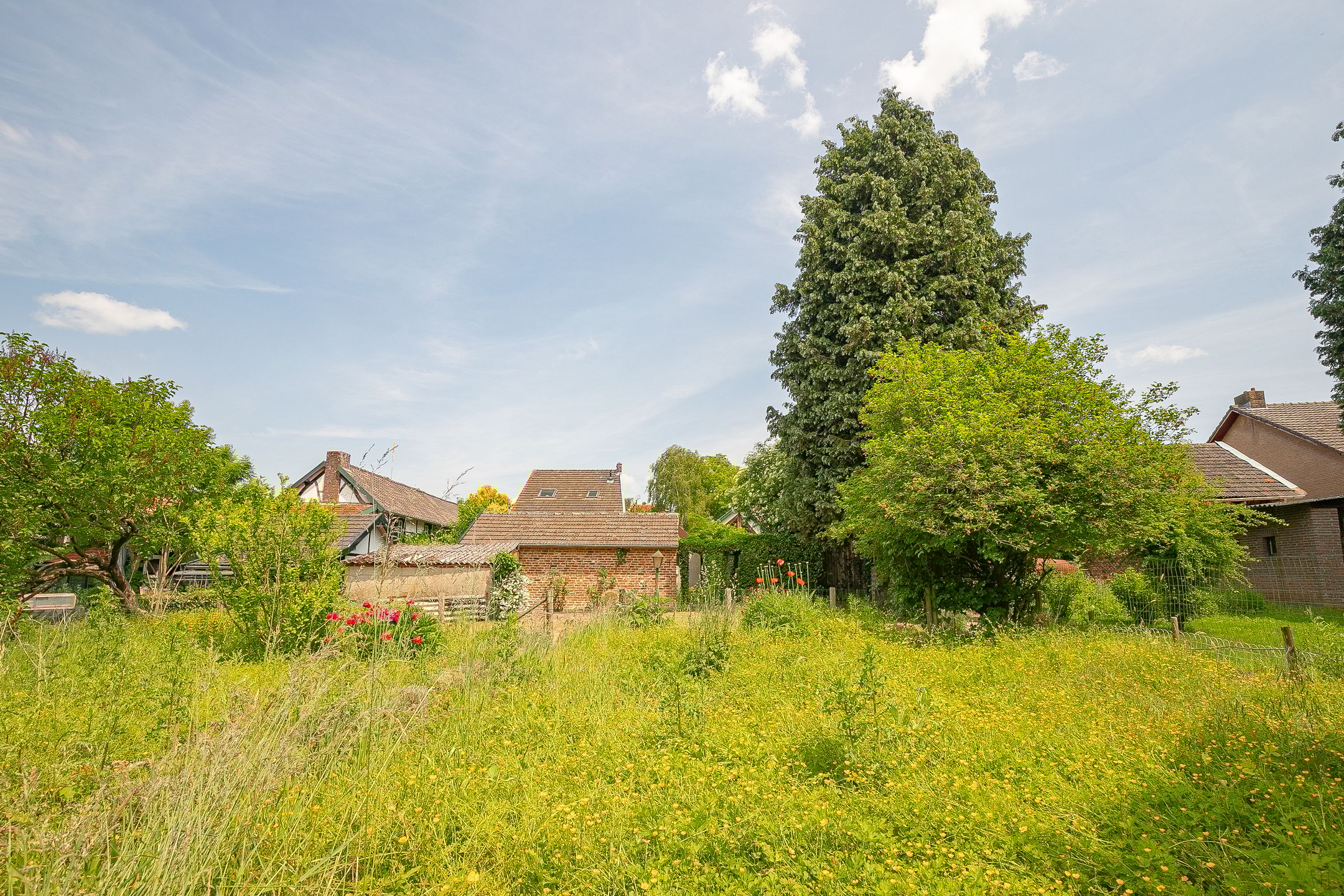 Foto 15 van Dorpsstraat 38