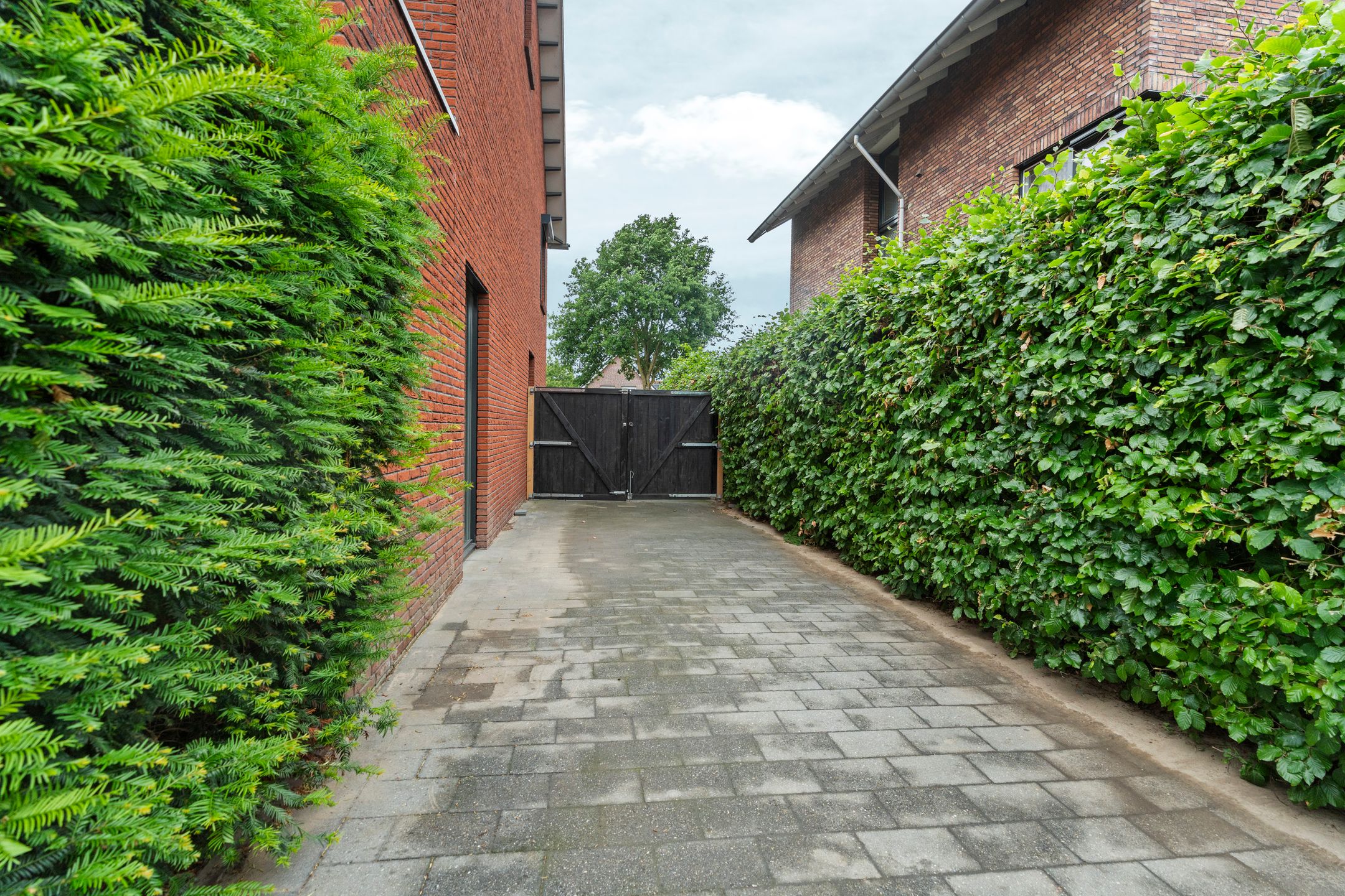 Foto 42 van Stadswal 55-B