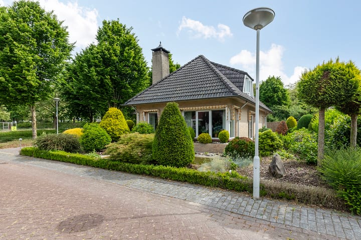 Foto 6 van Boomheuvel 1