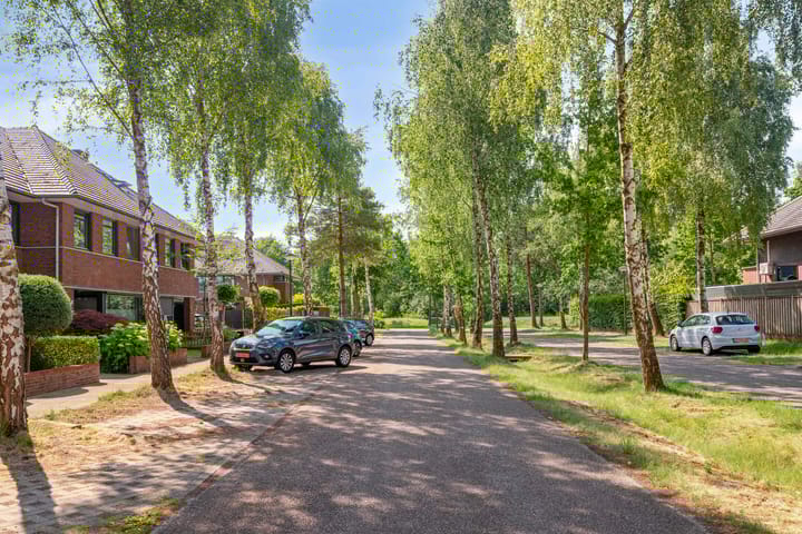 Foto 31 van Satijnvlinderlaan 10